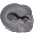 Bala Narsimha Shaligram