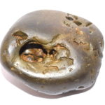 Hari Shaligram