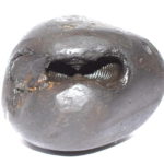 Urvi Varaha Shaligram