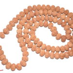 9 Mukhi Rudraksha Mala - 13 mm - 109 Beads
