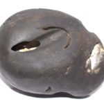 Pattabhi Rama Shaligram
