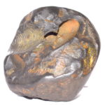 Vijaya Rama Shaligram
