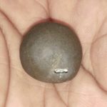 Rukmani Krishna Shaligram