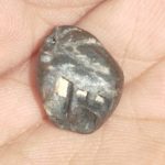 Purushottama Shaligram