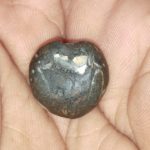 SitaRama Shaligram