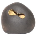 Bala Narsimha Shaligram