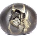 Kapila Shaligram