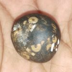 Dhananjaya Shaligram