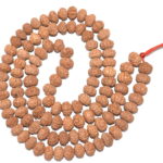 11 Mukhi Rudraksha Mala