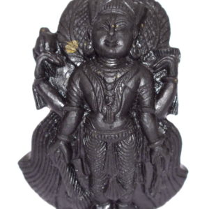 Vasudeva Idols Carved On Natural Shaligrams