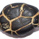 Radha Krishna Shaligram
