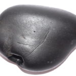 Balabadhra Shaligram