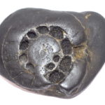 Gandharva Shaligram