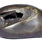 Parijatahara Krishna Shaligram