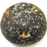 Hari Shaligram