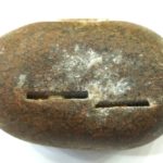 RajaRajeshwara Shaligram