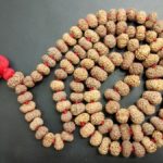 13 Mukhi Rudraksha Mala - 55 Beads