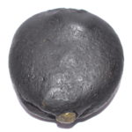 Kurma Shaligram