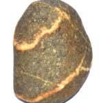 Shashidhar Shaligram