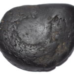 Kalpvriksha Shaligram