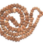 12 Mukhi Rudraksha Mala
