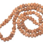 12 Mukhi Rudraksha Mala