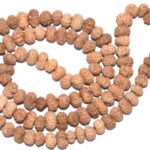 12 Mukhi Rudraksha Mala