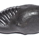 Matsya Shaligram
