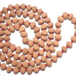 10 Mukhi Rudraksha Mala