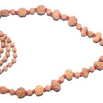 Rudraksha Siddha Mala - Java