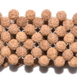 Rudraksha Stretchable Band