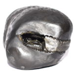 Hamsa Shaligram