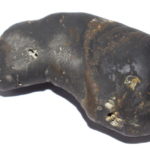 Matsya Shaligram