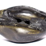 KurcaKara Krishna Shaligram