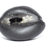 Hrishikesha Shaligram