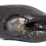 Matsya Shaligram