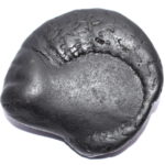 Radha Krishna Shaligram