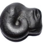 Laxmi Shaligram