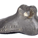 Hrishikesha Shaligram