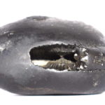 Parshuram Shaligram