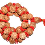 8 Mukhi Rudraksha Kantha - Rare Collector Size - Java