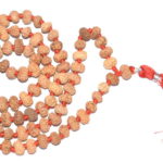12 Mukhi Rudraksha Mala