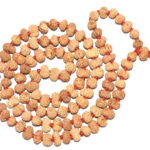 12 Mukhi Rudraksha Mala