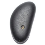 Matsya Shaligram