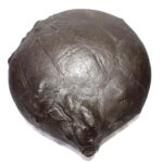 Rare Big Size Kurma Shaligram