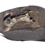 Laxmi Narsimha Shaligram