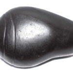 Shankh Carved On Natural Shaligram