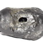 Damodar Shaligram