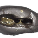 Vibhishana Narsimha shaligram