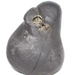 Buddha Shaligram